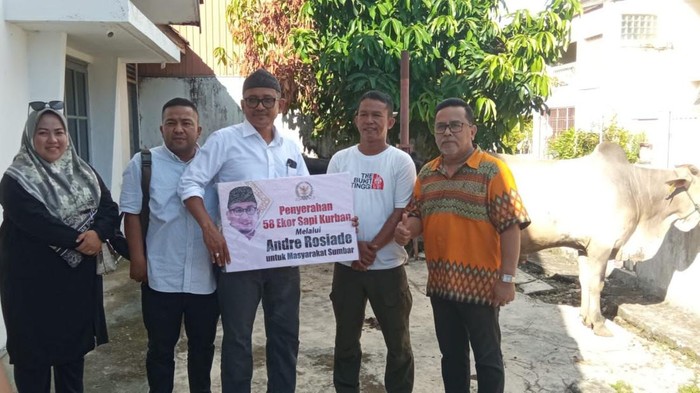 Arahan Prabowo, Andre Rosiade Sebar 58 Ekor Sapi Kurban di Sumbar