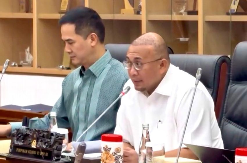 Andre Rosiade Apresiasi Stabilitas Harga Pangan Lebaran 2026, Soroti Peran ID FOOD dan Pemerintah